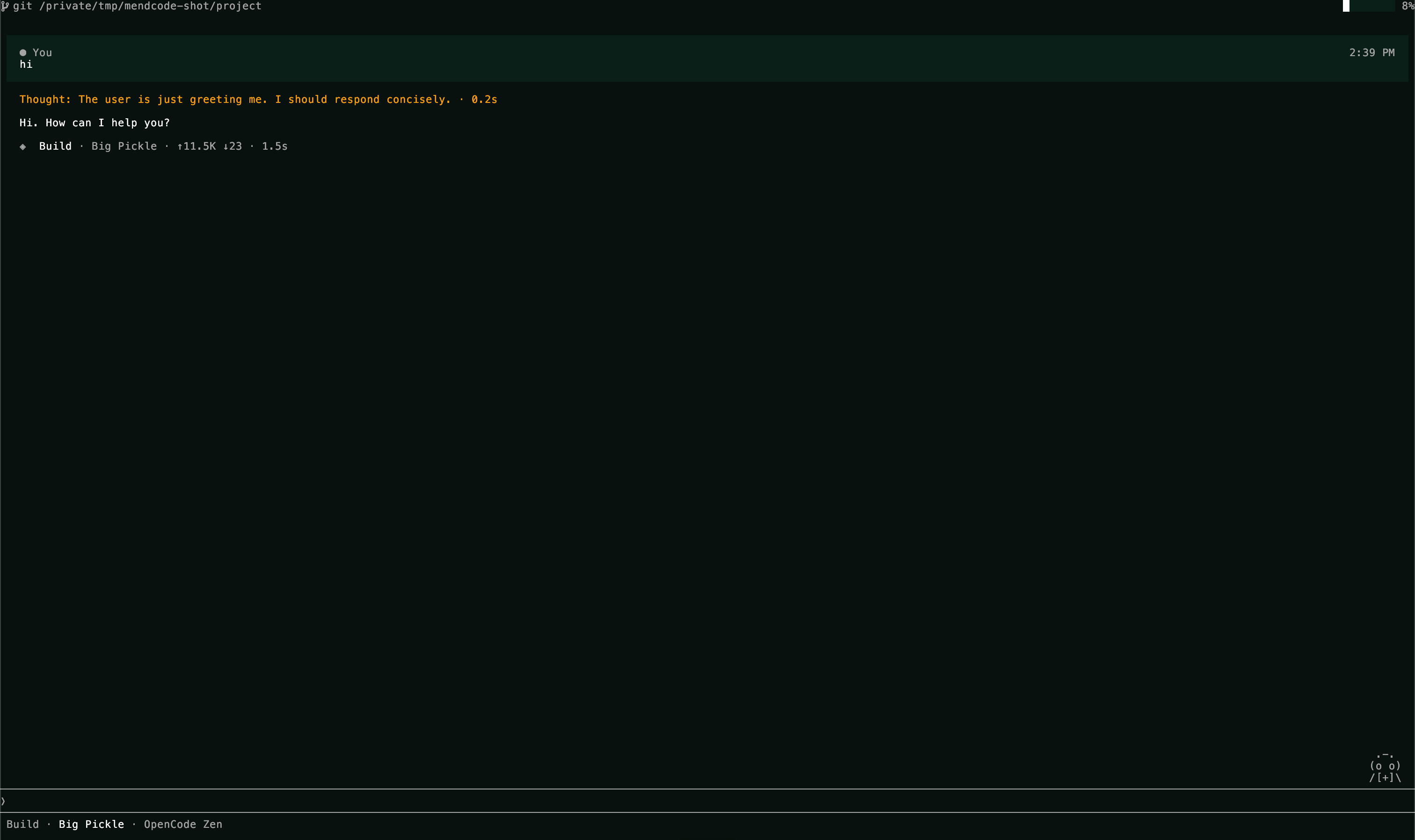 MendCode terminal session